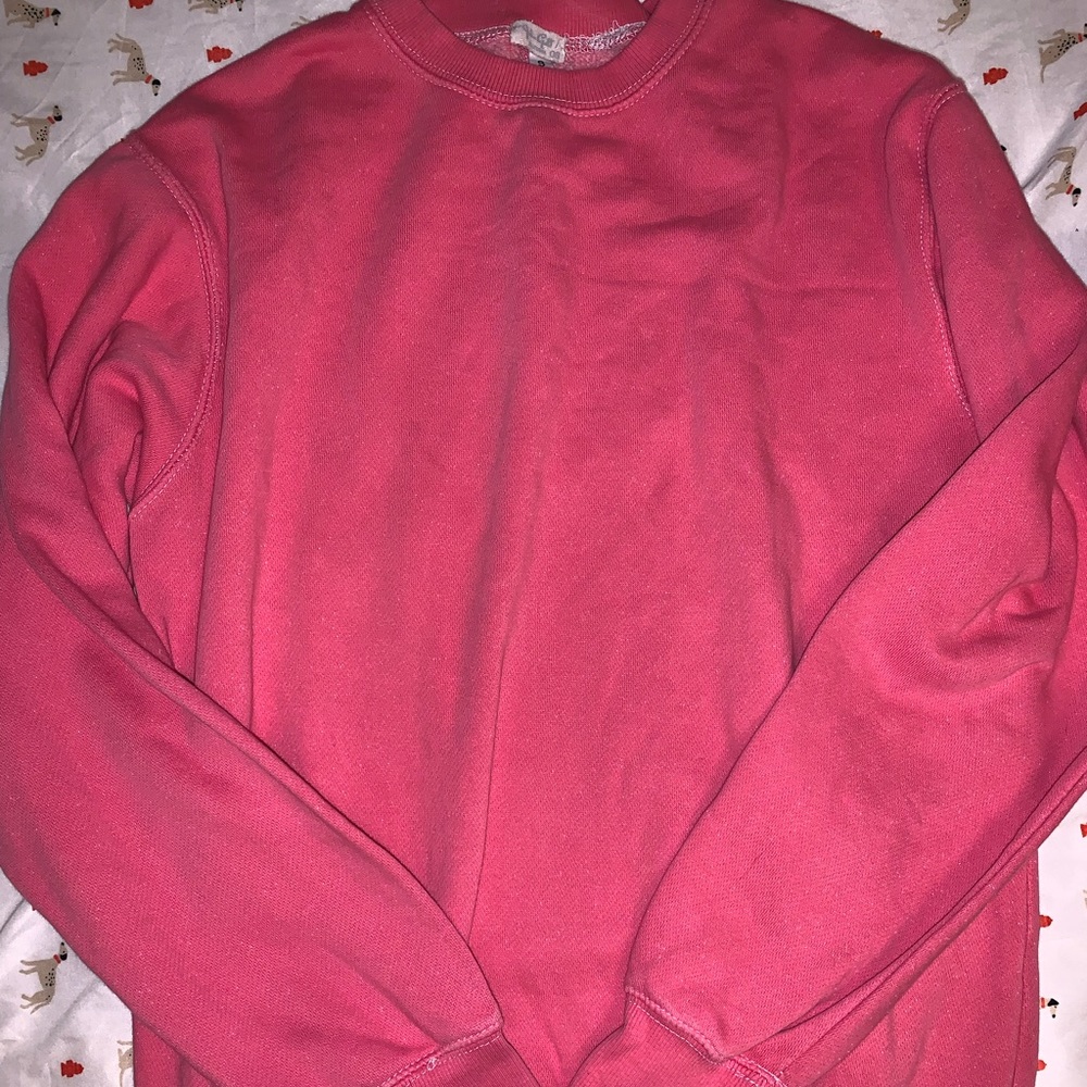 brandy melville/john galt crewneck i think it’s the erica crewneck!!!  💕💕💕